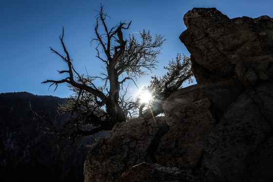 San Bernardino Mountains