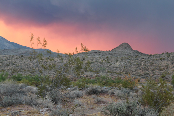 Red Rock Canyon National Conservation Area