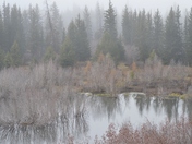 Grand Teton National Park