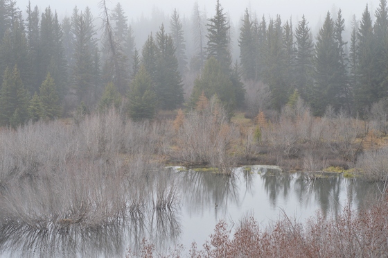 Grand Teton National Park