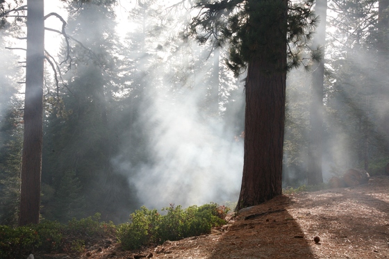 Sequoia National Park