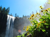 Yosemite National Park