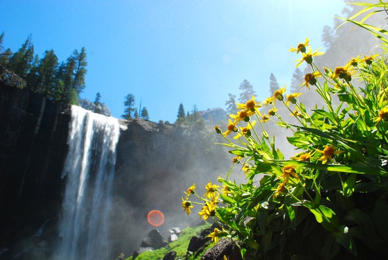 Yosemite National Park
