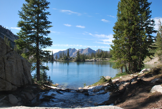 Wasatch National Forest
