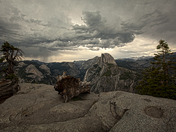 Yosemite National Park