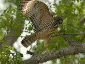 Everglades National Park
