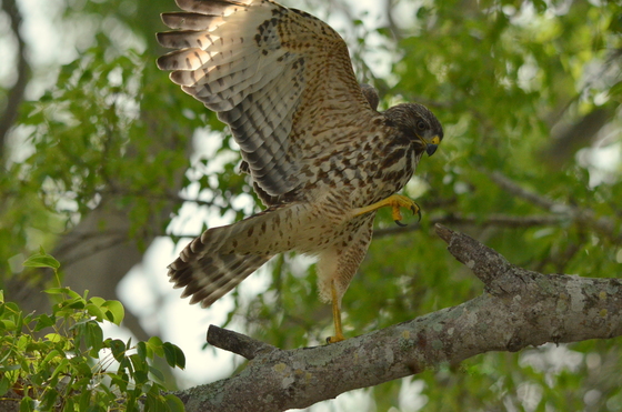 Everglades National Park