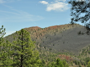 Sunset Crater National Monument