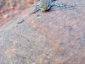 Zion National Park 