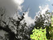 Everglaces National Park