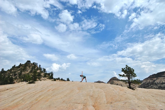 Zion National Park 