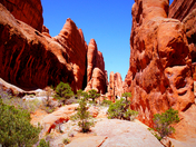 Arches National Park