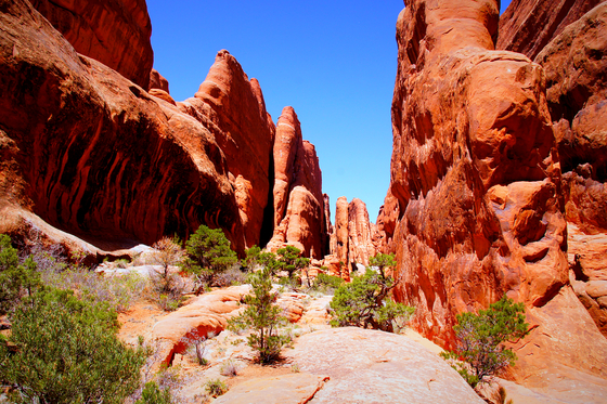 Arches National Park