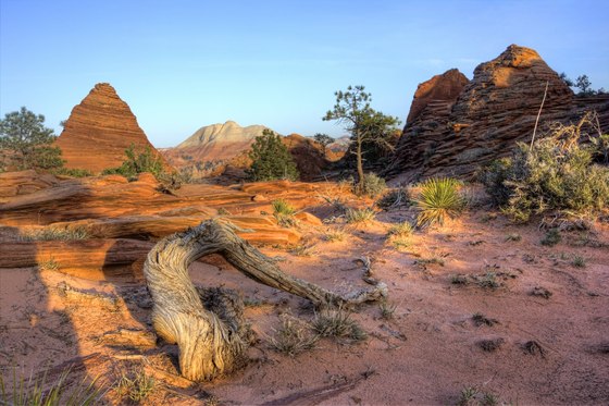Zion NP