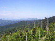 Great Smoky Mountain National Park
