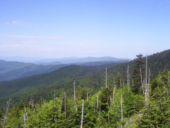 Great Smoky Mountain National Park