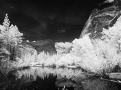 Yosemite National Park