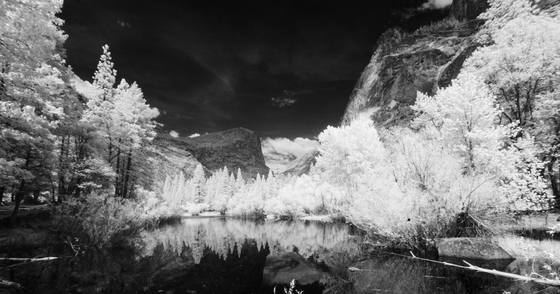 Yosemite National Park