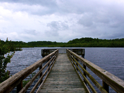 Prime Hook National Refuge