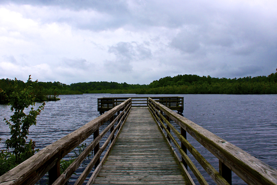 Prime Hook National Refuge