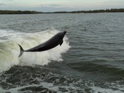 Everglades National Park