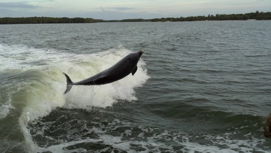 Everglades National Park