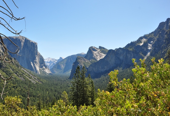 Yosemite National Park