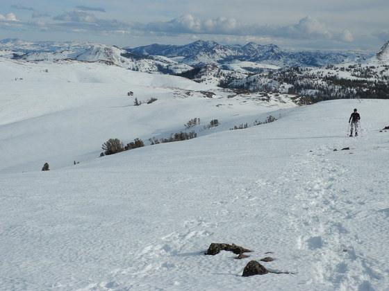 El Dorado National Forest