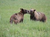 Grand Teton National Park