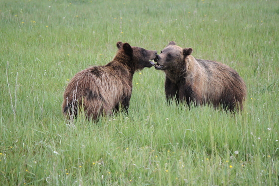 Grand Teton National Park