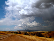 Coronado National Forest