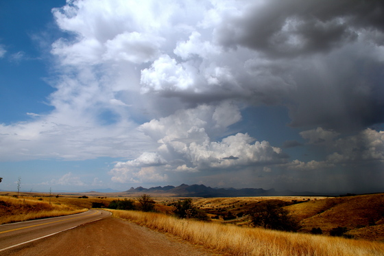 Coronado National Forest