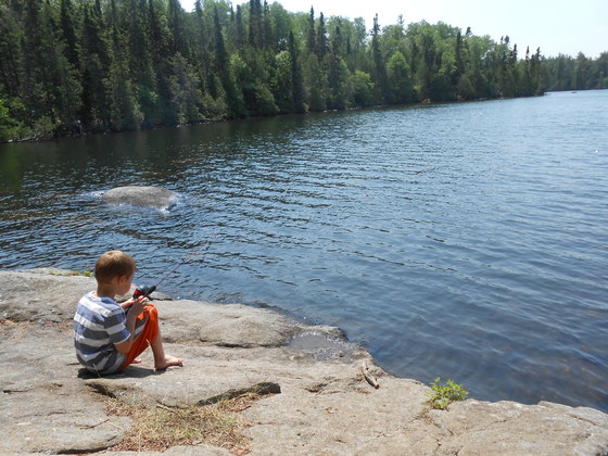 BWCA