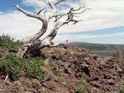 Capulin Volcano National Monument