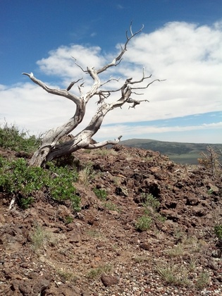 Capulin Volcano National Monument
