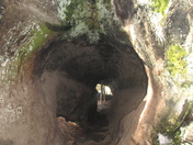 Sequoia National Park