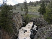 yellowstone 