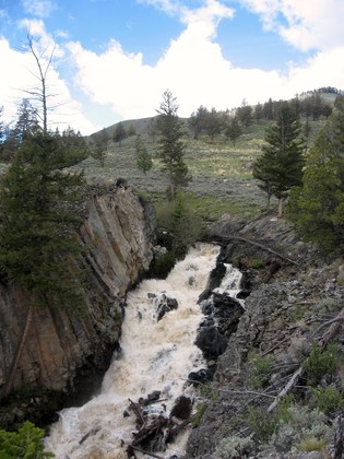 yellowstone 