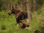 Grand Teton National Park