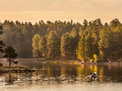 Apache-Sitgreaves National Forests