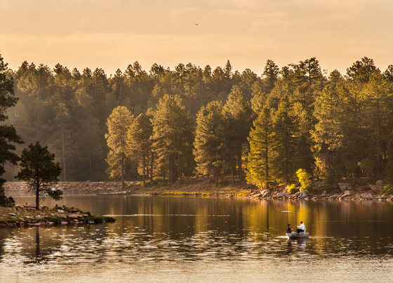 Apache-Sitgreaves National Forests