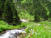 Mount Rainier