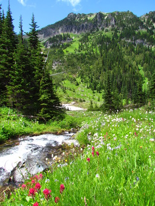 Mount Rainier