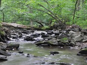 catoctin mt. park