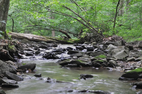 catoctin mt. park