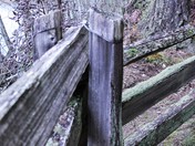 Stoltz Campground BC