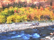Zion National Park