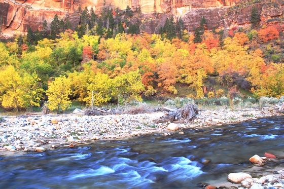 Zion National Park