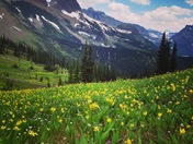 Glacier National Park