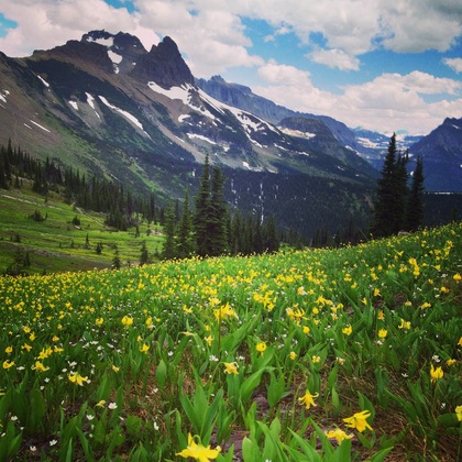 Glacier National Park